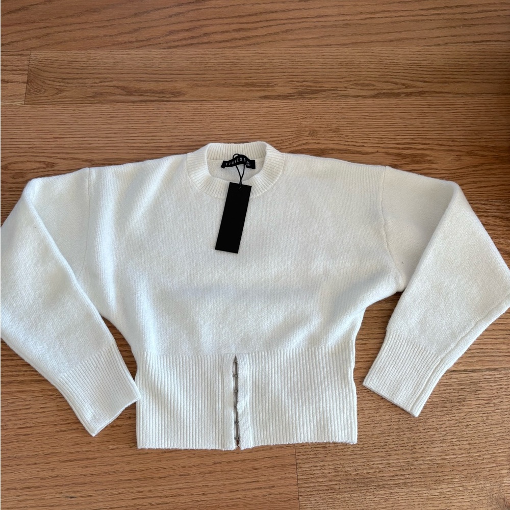 Lioness sweater